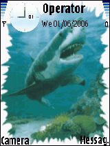 dolphein@fish