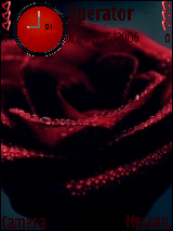 Rose red