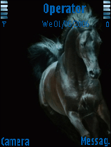 horse