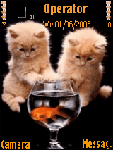 kittens wiz golden fish