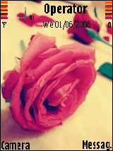 Flawer