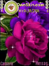 زهور حمراء