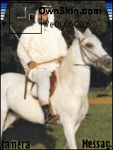 الشيخ زايد رحمة الله