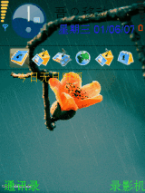 木棉花