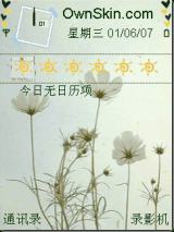 夏花