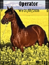 Horse