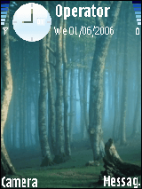 forest