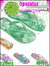 havaianas