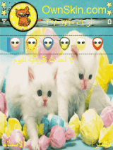 cats