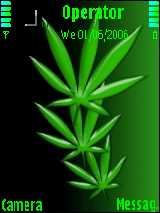 Marijuana