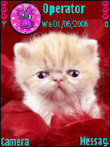 RSanimals005