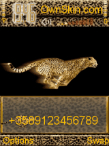 Anmtd Cheeta_Runbyktr