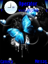 blue butterfly