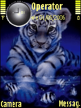TigerBaby