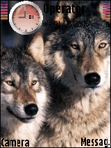 Wolves 