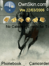wild horse