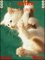 Gattino