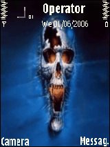 3D Skull
