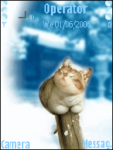 I love Cat