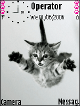 RSanimals004