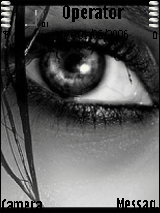 eye