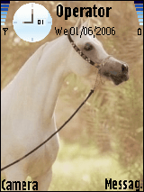 horse