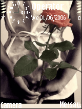 Hidden Love
