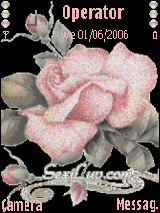 a rose for u