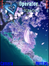 sakura