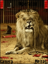 lion