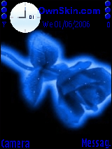 blue rose
