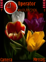 Tulipany