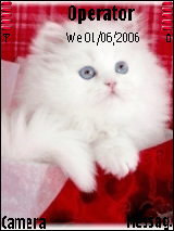 caty