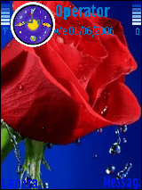 flowrdarya