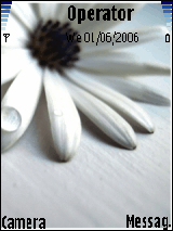 sweet  flower
