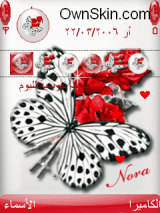 butterfly nn