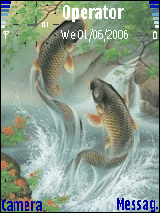 Lucky Fish
