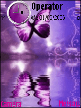 butterfly