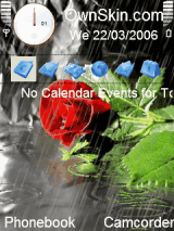 Red Rose
