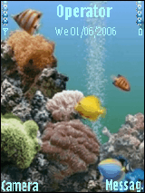 acquarium