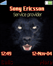 black panther