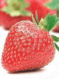 strawberry_vk16