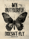 蝴蝶不能飞