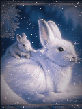 White rabbit  