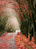 Animated_Autumn_Road