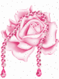 Pink rose with pink necklece   