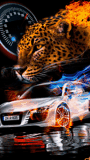 car tiger