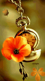 clock and flower