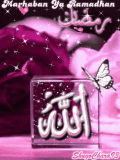 animated kaligrafi marhaban ya ramadhan 