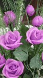 Flowers violet